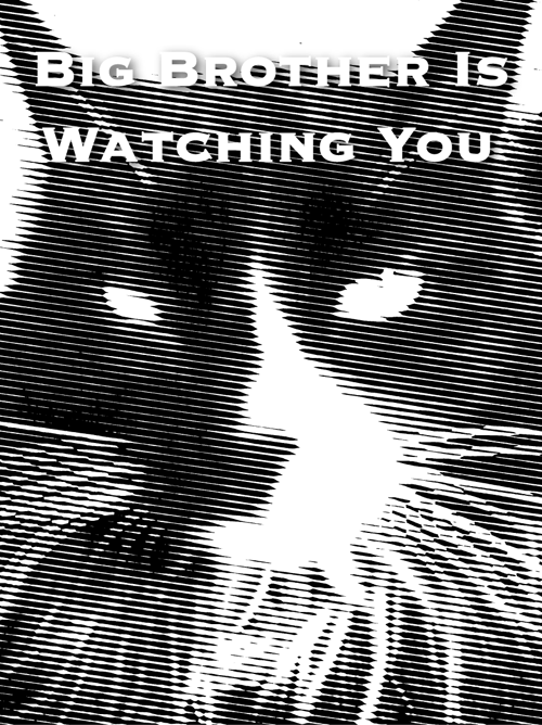 Big Brother Is Watching you